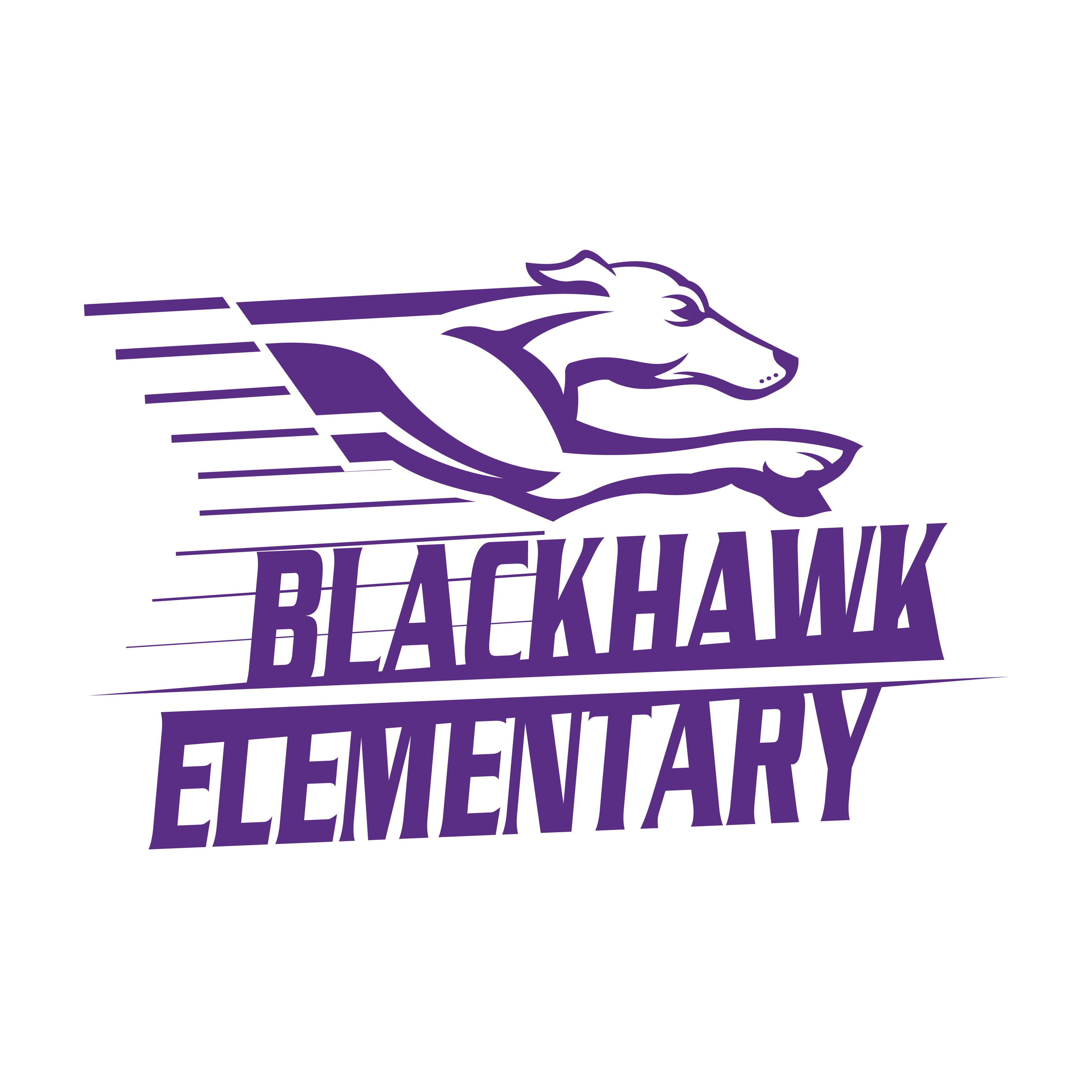 Blackhawk Elementary 2025