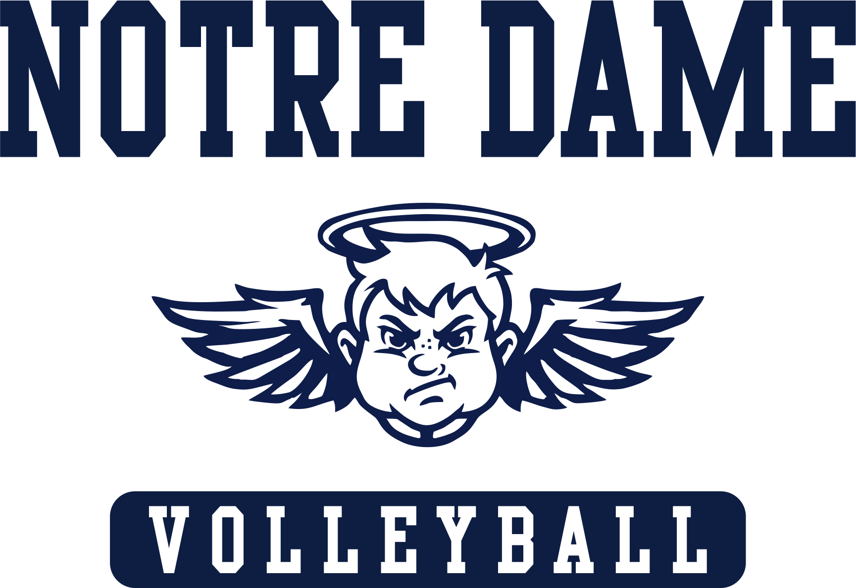 ND Volleyball 2025