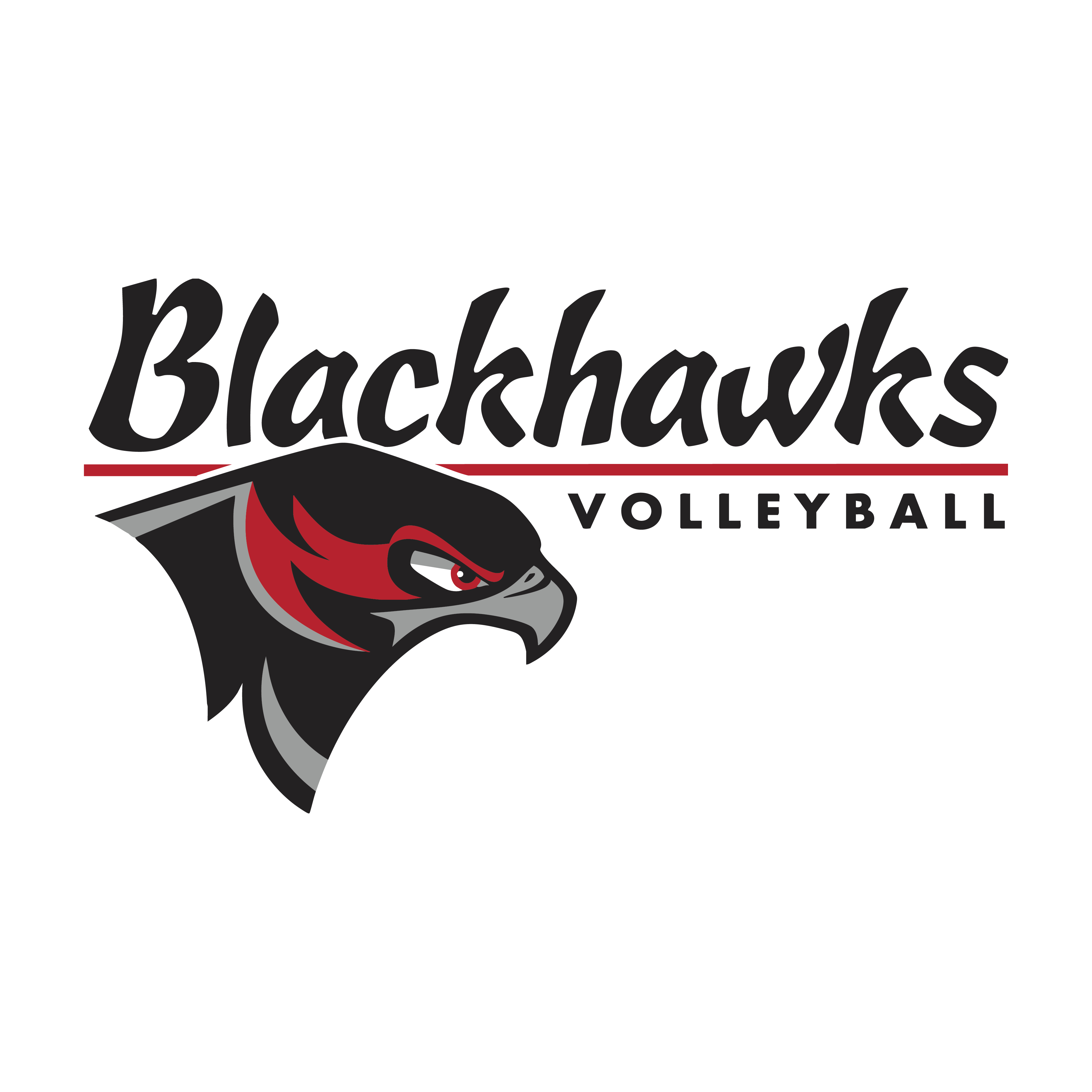 SCC Volleyball 2025