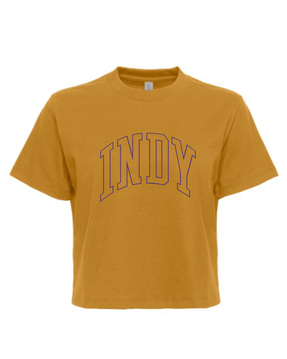 Indianola 2025 Ladies Boxy T-shirt