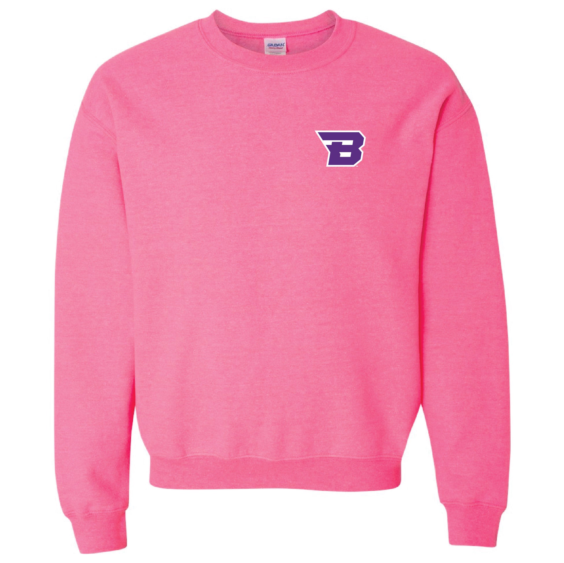 Aldo 2024 Safety Pink Crewneck Embroidered