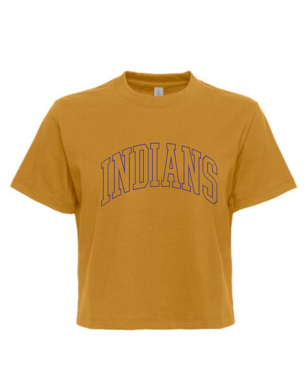 Indianola 2025 Ladies Boxy T-shirt